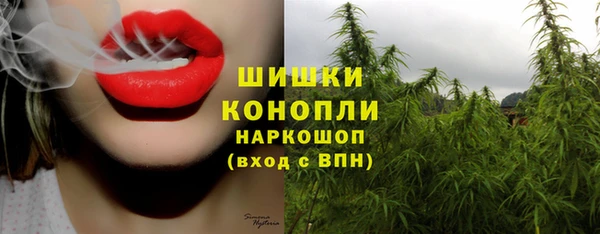 амф Алексин