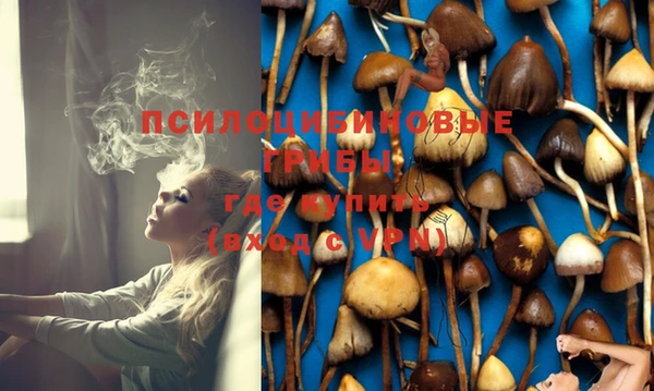 амф Алексин