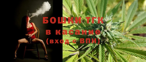 дживик Абинск