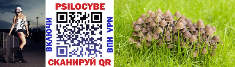 купить наркотик  площадка официальный сайт  Псилоцибиновые грибы прущие грибы  Кремёнки  кракен tor 
